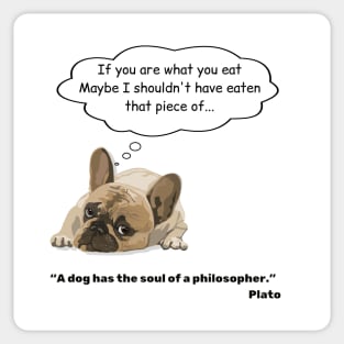 Philosopher dog Sticker